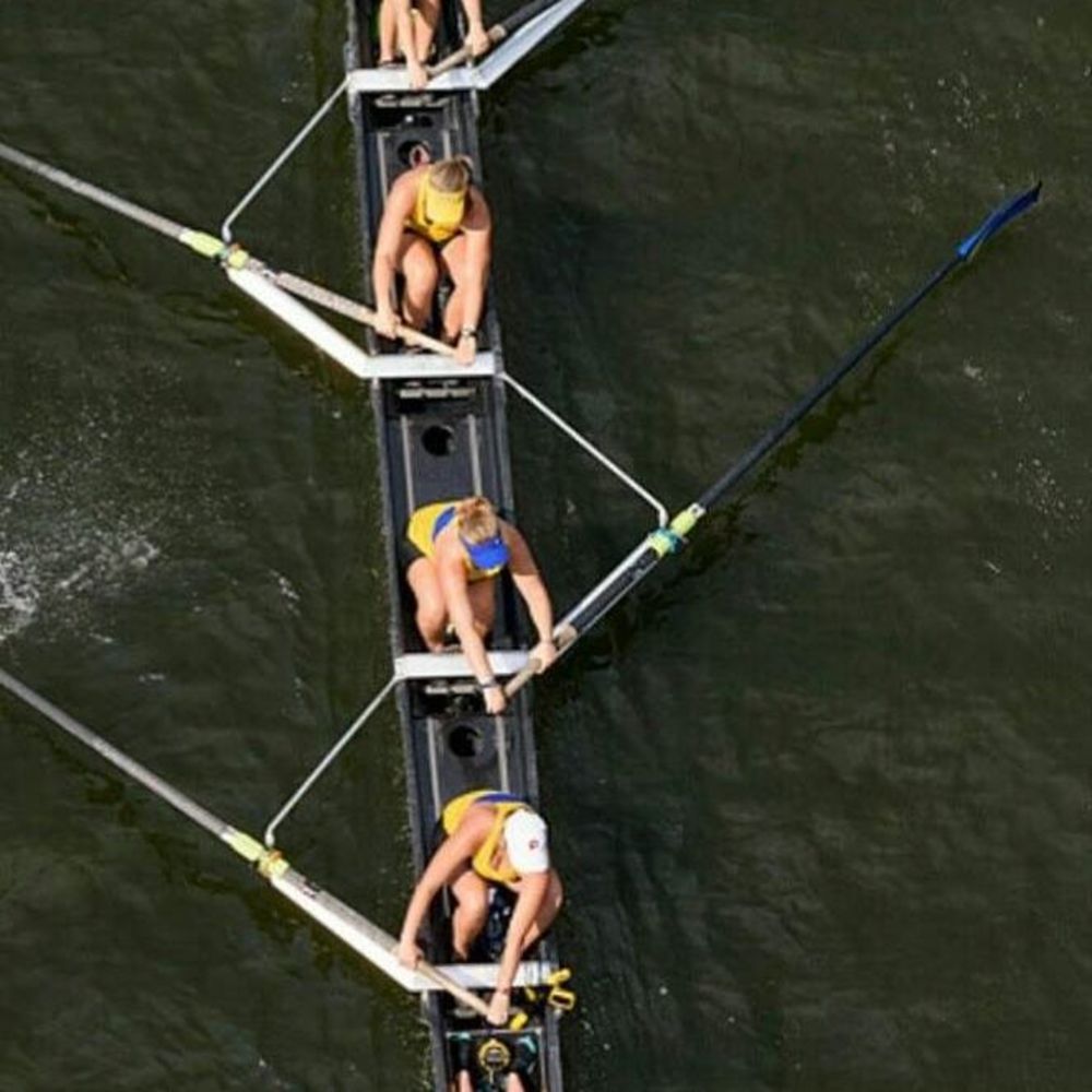 Meet your Posher, Maddy